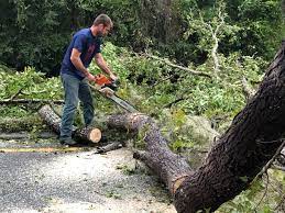 Best Utility Line Clearance  in Presquille, LA